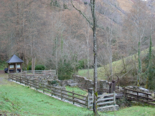 DSC02447