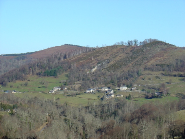 DSC02450