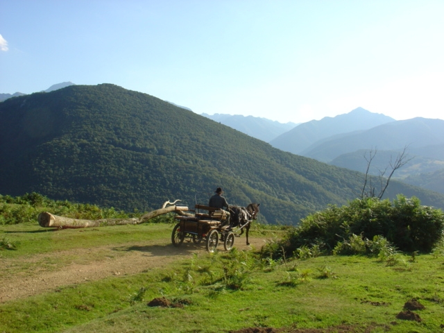 DSC01865