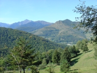 DSC03809
