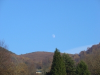 DSC03956