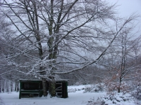 DSC04121