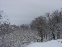 DSC04123