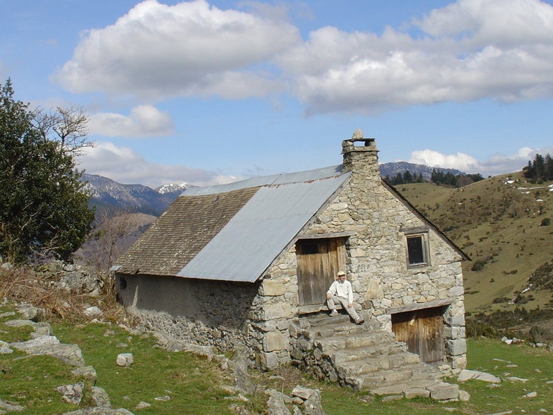 DSC00453