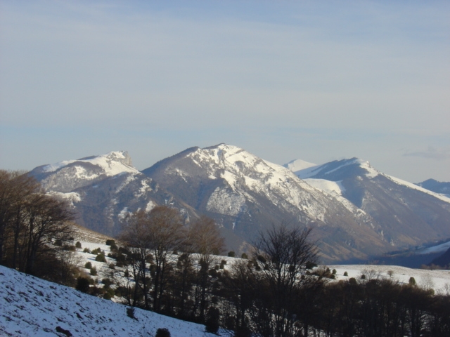 DSC04023