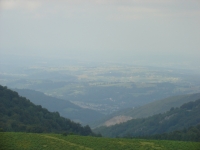 DSC01799