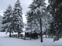 DSC02517