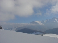 DSC02520