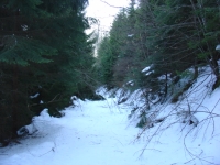 DSC04019