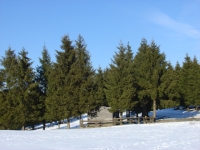 DSC04020