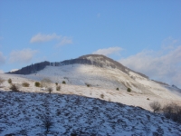 DSC04119