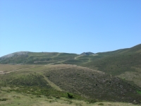 DSC03115