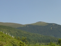 DSC03127