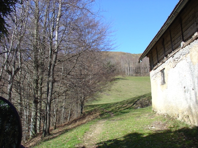 DSC00223