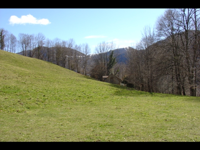 DSC00248