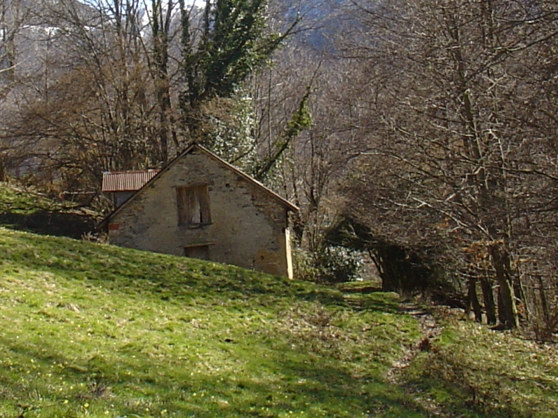 DSC00259