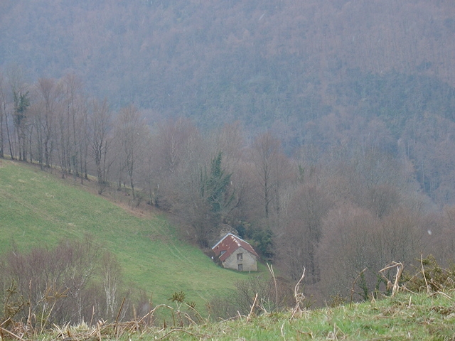 DSC00488