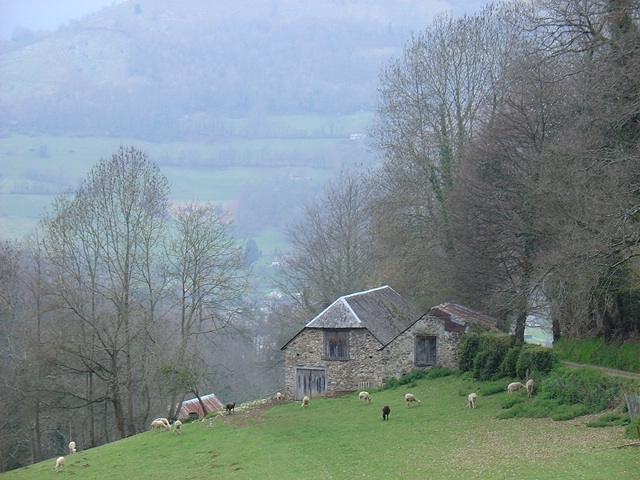 DSC00489