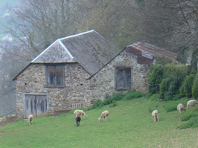 DSC00490