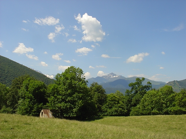 DSC01030