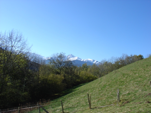DSC03899