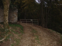 DSC03847